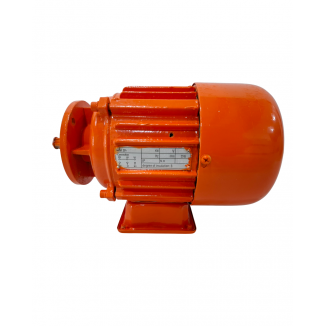 Motor Elétrico para troler...